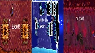 Luc Tries Mapping Expert