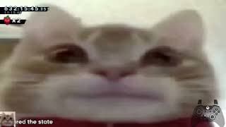 The Daring Depths of the Difficult Dashless Dungeon of Despair D-Side [FC]