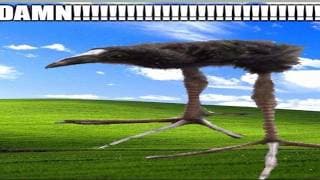 cybn thumbnail